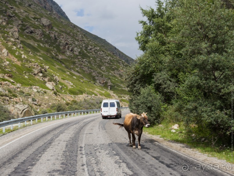 Эльбрус, часть 7: Дорога домой (Elbrus, Russia)