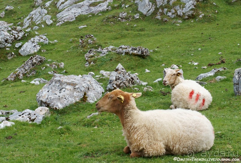 Туманная Астурия (Asturias, Fuente-de, Spain)