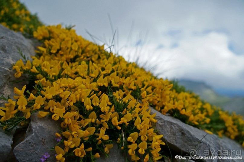 Туманная Астурия (Asturias, Fuente-de, Spain)