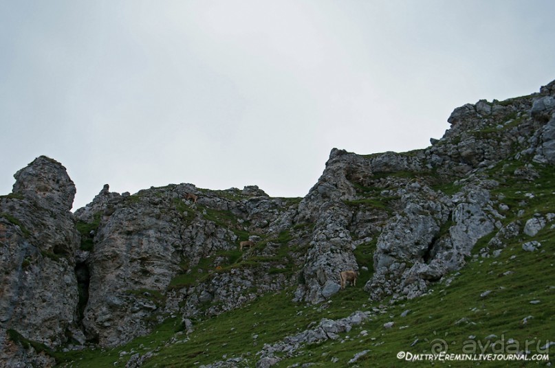 Туманная Астурия (Asturias, Fuente-de, Spain)