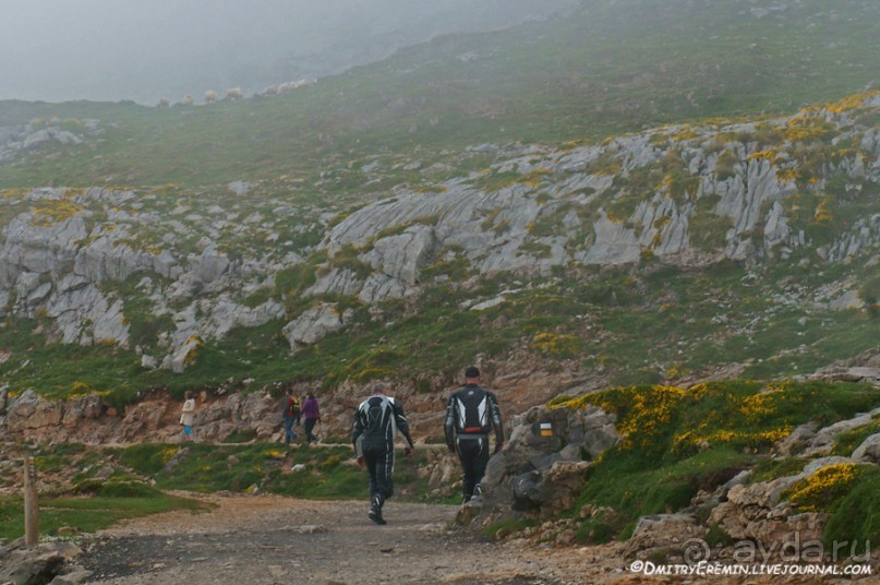 Туманная Астурия (Asturias, Fuente-de, Spain)