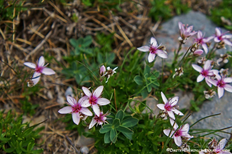 Туманная Астурия (Asturias, Fuente-de, Spain)
