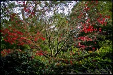 Где-то в Ирландии… (South-west Ireland)