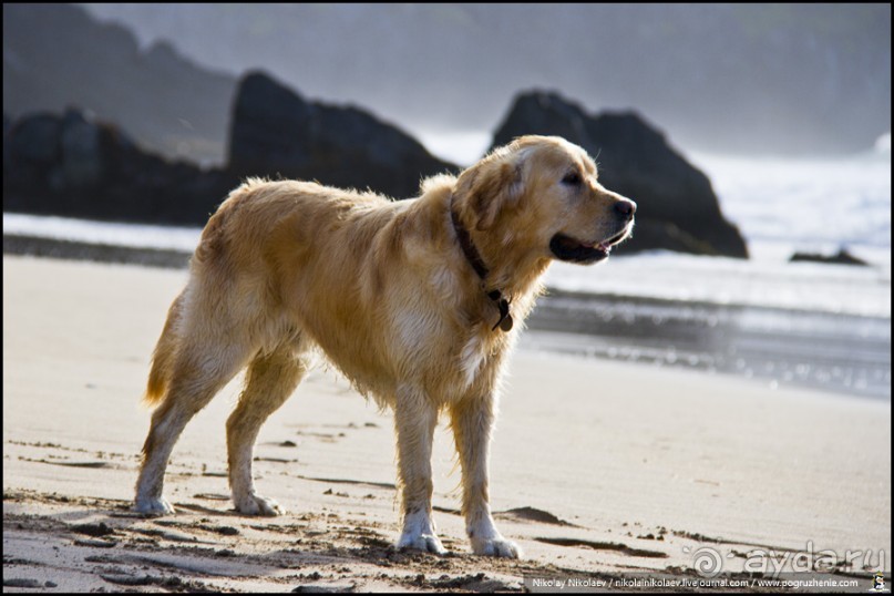 Где-то в Ирландии… (South-west Ireland)