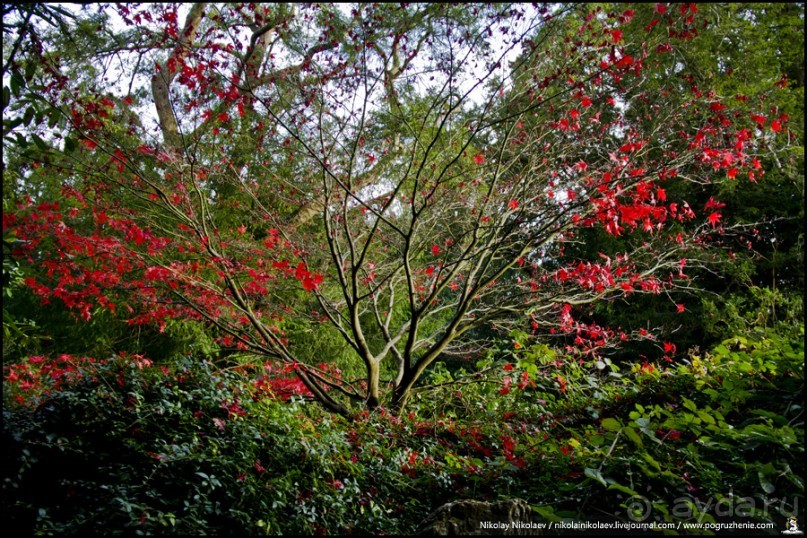 Где-то в Ирландии… (South-west Ireland)