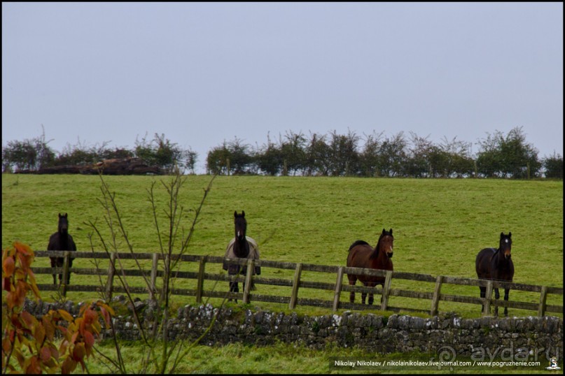 Где-то в Ирландии… (South-west Ireland)