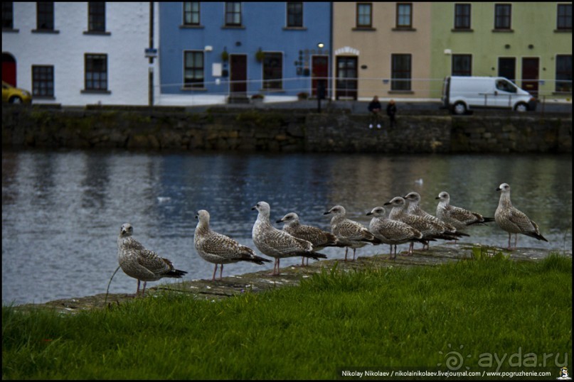 Ирландия: в стране радуг (Ireland, Cliffs of Moher, Galway)