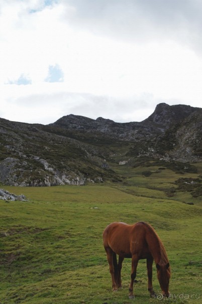 Столица Испанского королевства и горно-озёрный рай (Cangas de Onis, Spain)