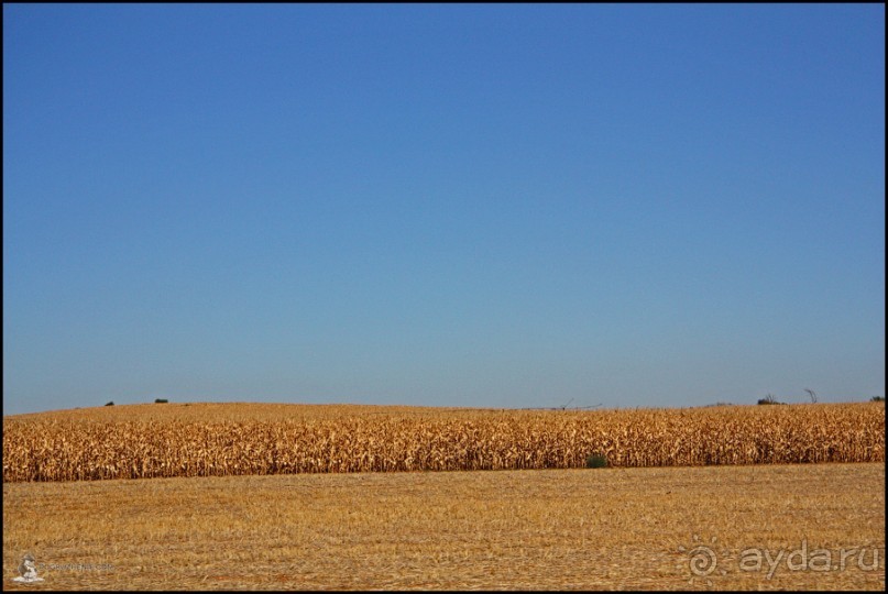 Крепостная стена Авилы (Avila, Spain)