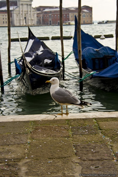 Сан-Марко в лицах… в масках (Venice, Italy)