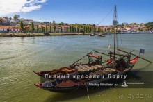 Пьяный красавец Порту (Porto, Portugal)