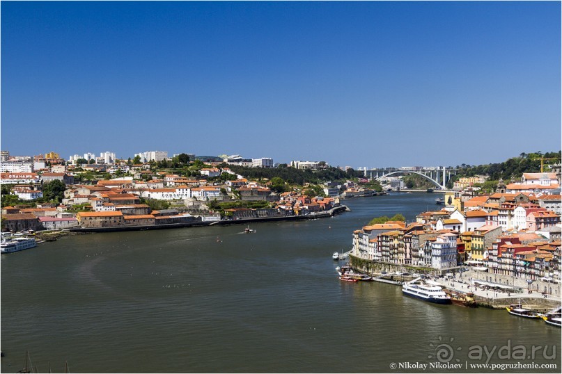 Пьяный красавец Порту (Porto, Portugal)