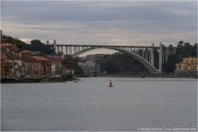 Пьяный красавец Порту (Porto, Portugal)