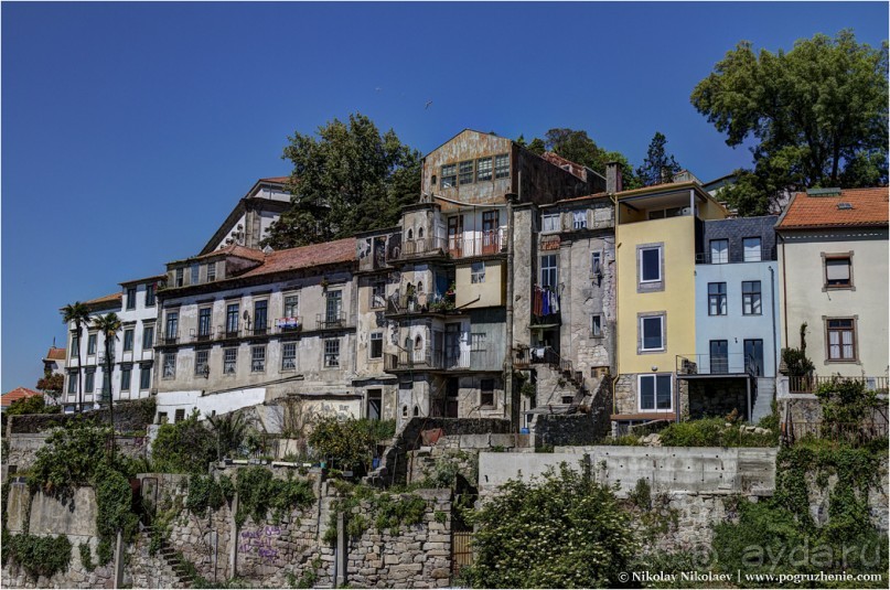 Пьяный красавец Порту (Porto, Portugal)