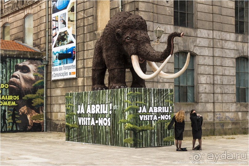 Пьяный красавец Порту (Porto, Portugal)