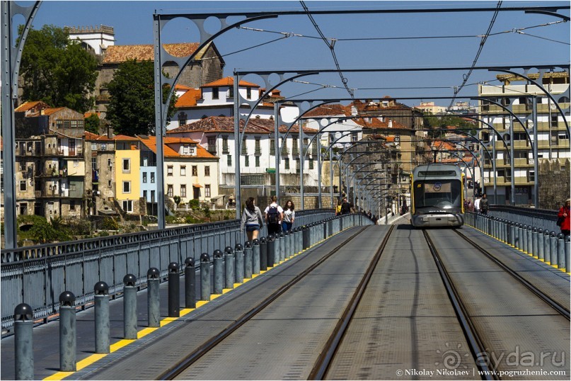 Пьяный красавец Порту (Porto, Portugal) Пьяный красавец Порту (Porto, Portugal)