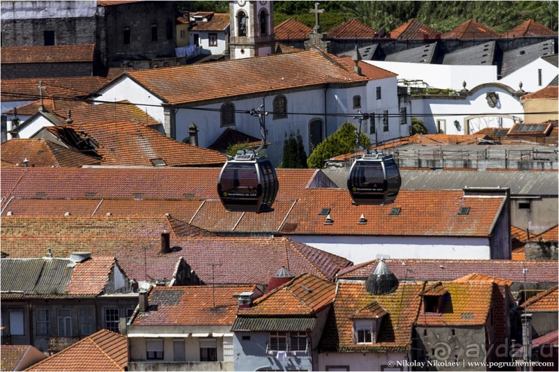 Пьяный красавец Порту (Porto, Portugal) Пьяный красавец Порту (Porto, Portugal)