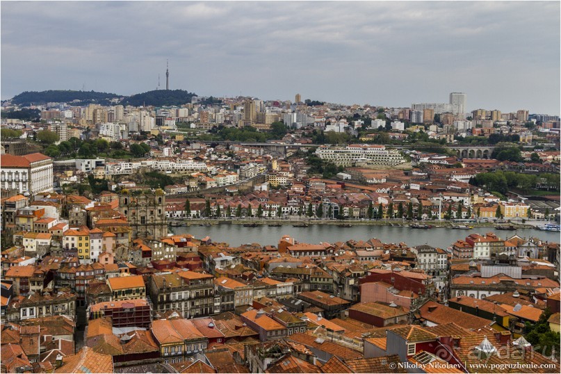 Пьяный красавец Порту (Porto, Portugal)