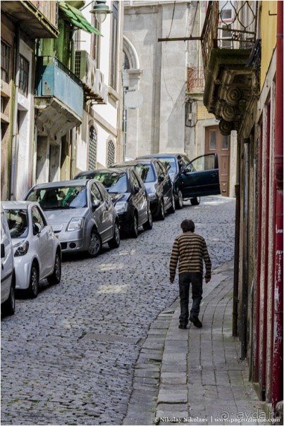 Пьяный красавец Порту (Porto, Portugal)
