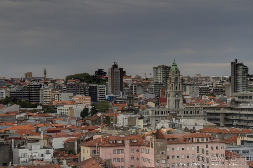 Пьяный красавец Порту (Porto, Portugal) Пьяный красавец Порту (Porto, Portugal)