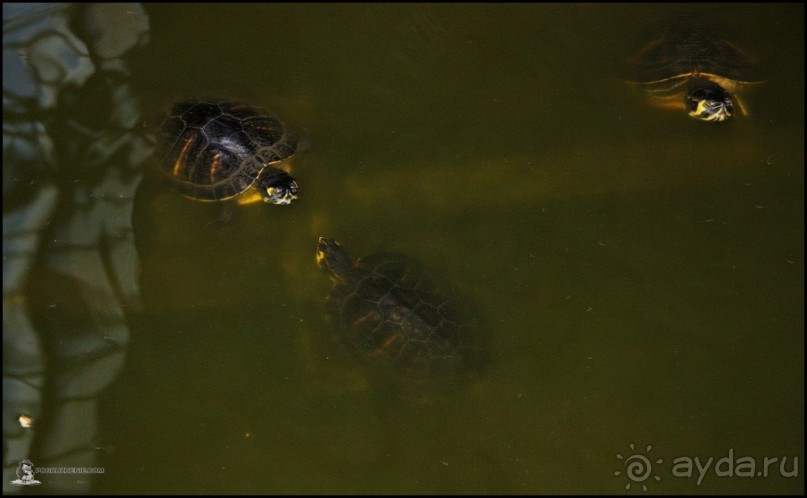 Мадрид за 10 часов (Madrid, Spain)