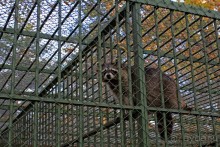 Столица Туреччины (Ankara, Turkey)