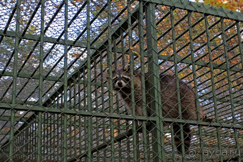 Столица Туреччины (Ankara, Turkey) Столица Туреччины (Ankara, Turkey)