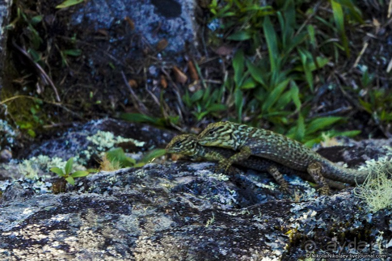 Покорение Америки. Часть 16. День 14+15: На старой горе (Machu Picchu, Peru)