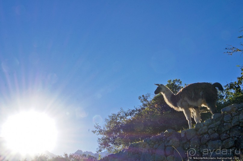 Покорение Америки. Часть 16. День 14+15: На старой горе (Machu Picchu, Peru)
