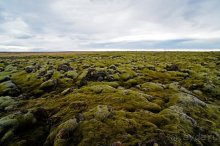 Альбом отзыва "«Открытие Исландии» часть 5: Два водопада и вулкан (Skógafoss, Iceland)"