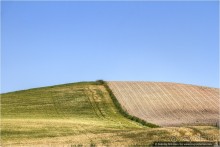 Андалусия и город под скалой (Setnil De Las Bodegas, Spain)