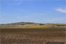 Андалусия и город под скалой (Setnil De Las Bodegas, Spain)