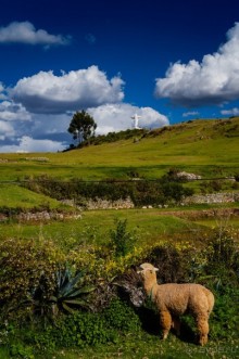 Покорение Америки. Часть 7. День 6: Chau, Cuzco! (Cuzco, Peru)