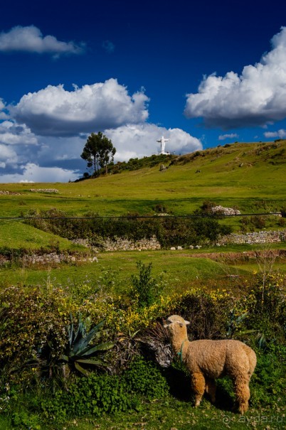 Покорение Америки. Часть 7. День 6: Chau, Cuzco! (Cuzco, Peru)