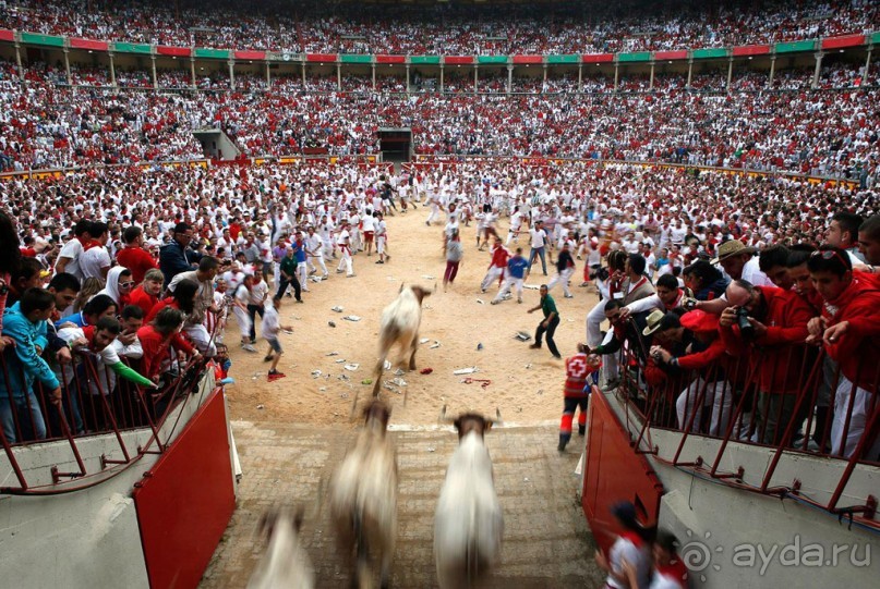 Энсьерро — адреналиновое безумство (Pamplona, Spain)
