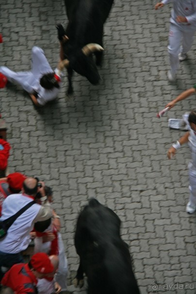 Энсьерро — адреналиновое безумство (Pamplona, Spain)