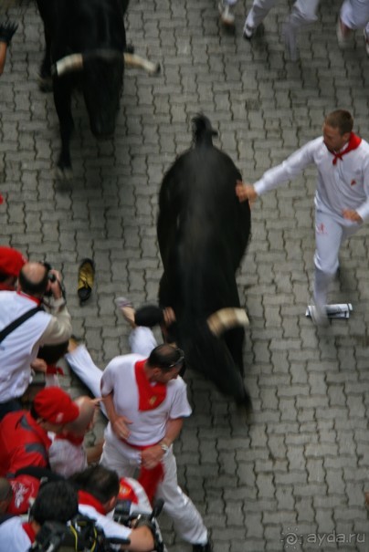 Энсьерро — адреналиновое безумство (Pamplona, Spain)