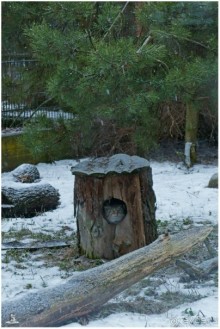 Финское царство зверей (Helsinki, Finland)