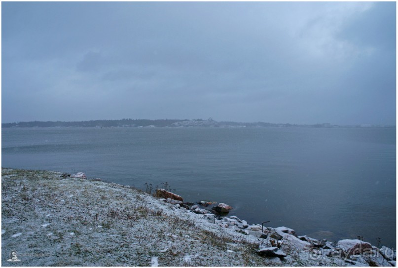 Финское царство зверей (Helsinki, Finland)