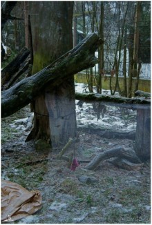 Финское царство зверей (Helsinki, Finland)