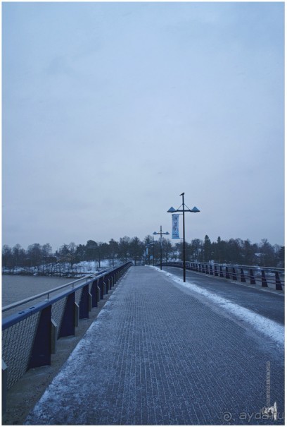 Финское царство зверей (Helsinki, Finland)