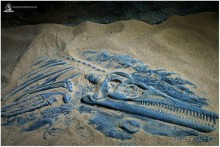 Рождённые ползать… (Helsinki, Finland)