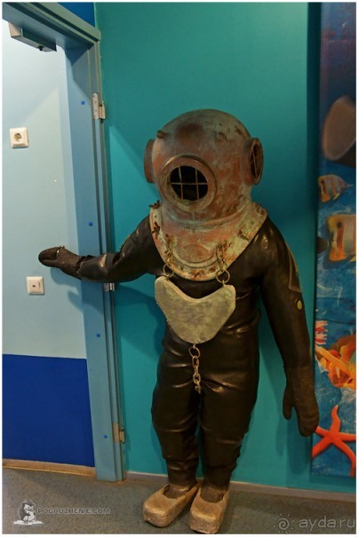 Рождённые ползать… (Helsinki, Finland)