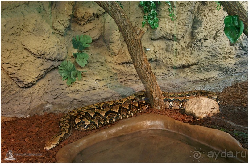 Рождённые ползать… (Helsinki, Finland)