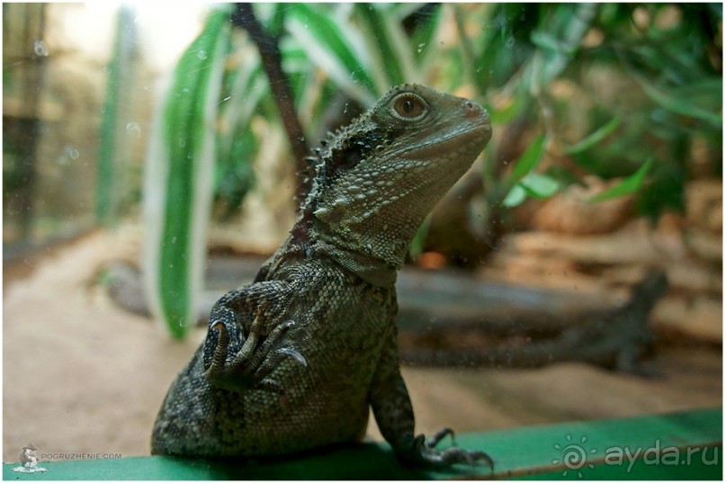 Рождённые ползать… (Helsinki, Finland)