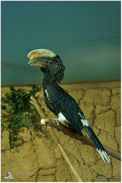 Рождённые ползать… (Helsinki, Finland)