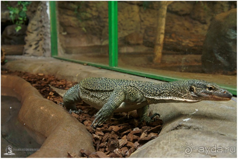 Рождённые ползать… (Helsinki, Finland)