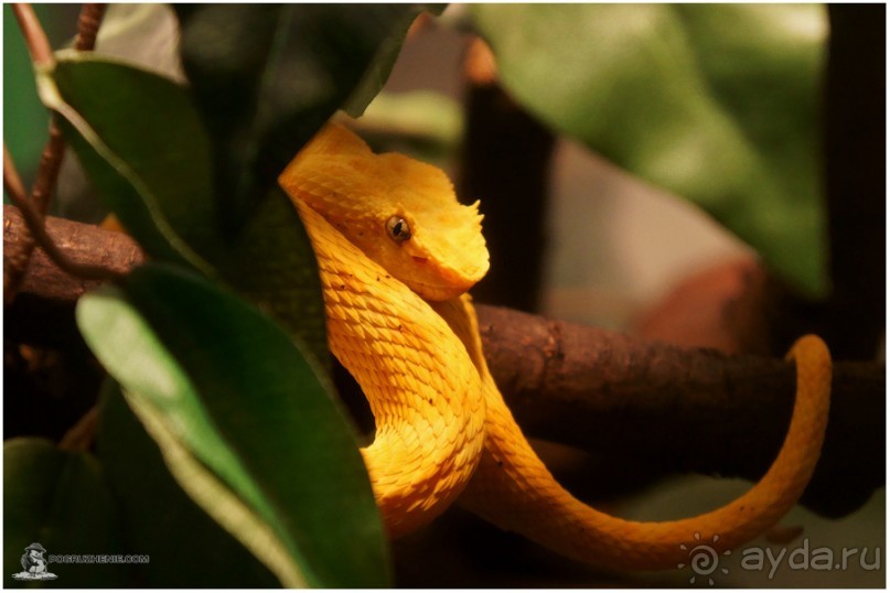 Рождённые ползать… (Helsinki, Finland)