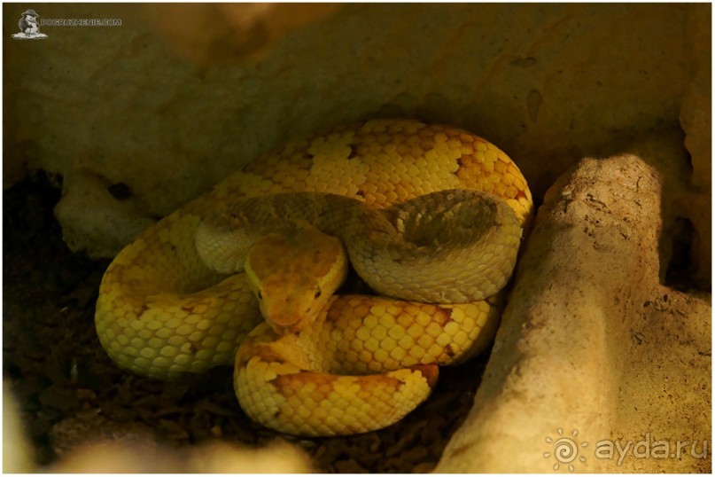 Рождённые ползать… (Helsinki, Finland)