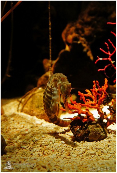 Рождённые ползать… (Helsinki, Finland)